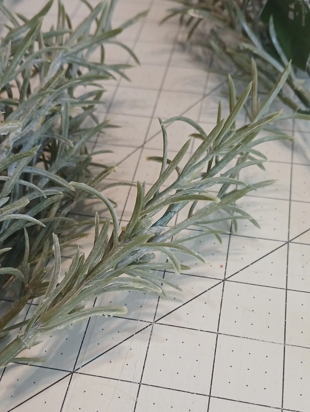 bloom set includes